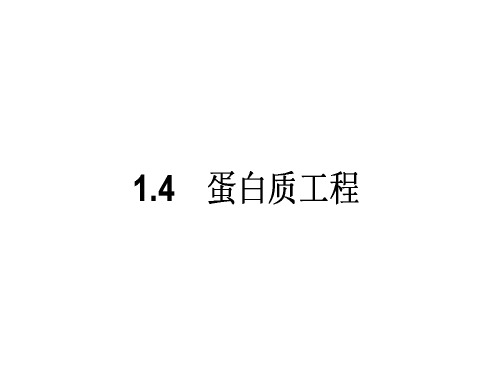 2017-2018学年高中生物选修三(课件 人教版)：1.4蛋白质工程 (共38张PPT)