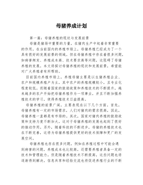 母猪养成计划