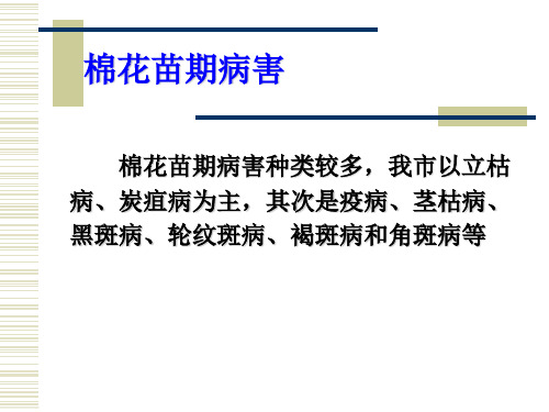 棉花主要病虫害的识别和防治1