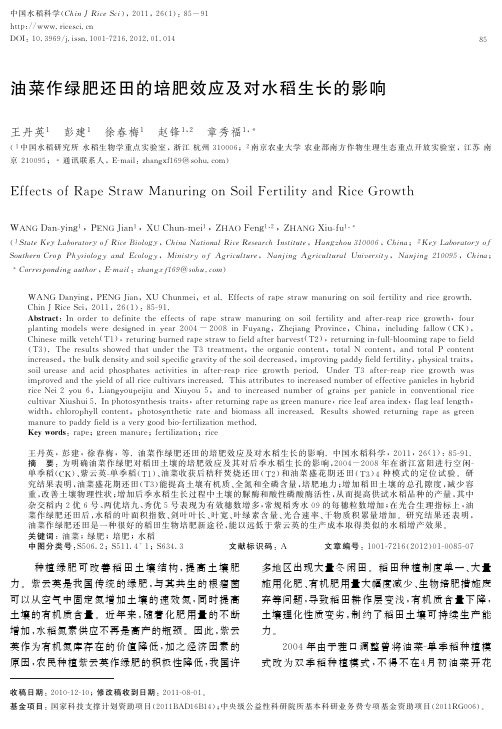 油菜作绿肥还田的培肥效应及对水稻生长的影响