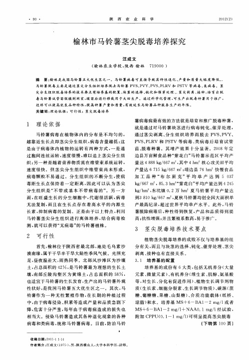 榆林市马铃薯茎尖脱毒培养探究