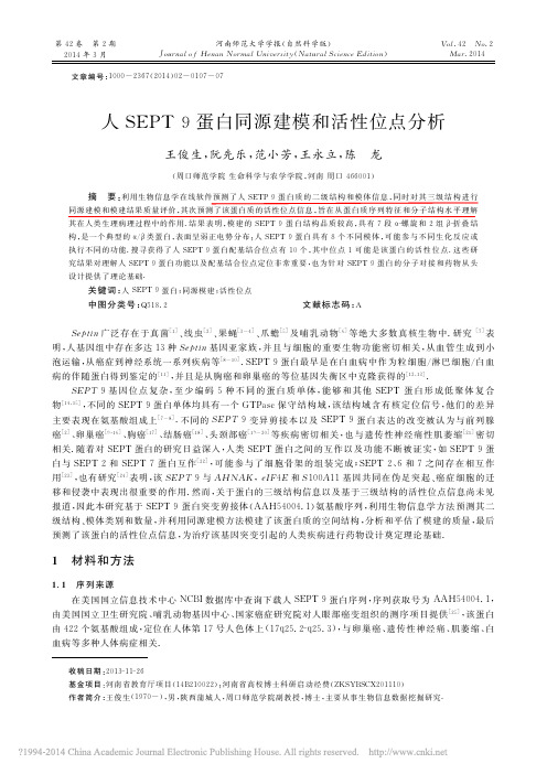 人SEPT9蛋白同源建模和活性位点分析_王俊生