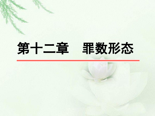 第12章 罪数形态