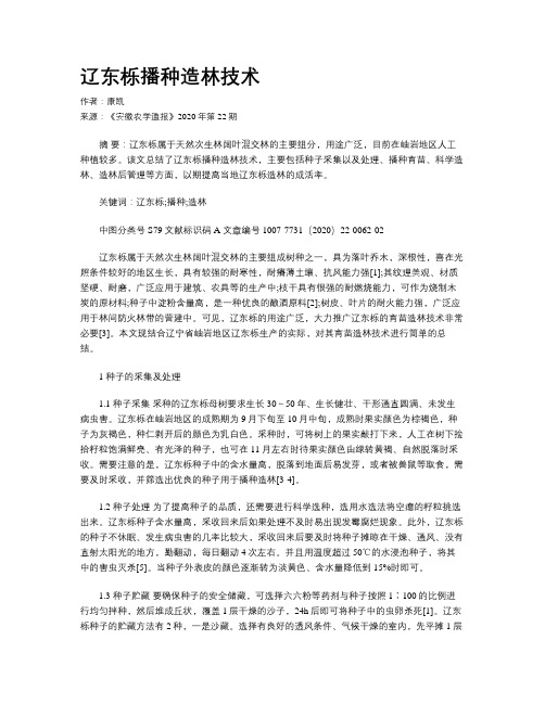 辽东栎播种造林技术