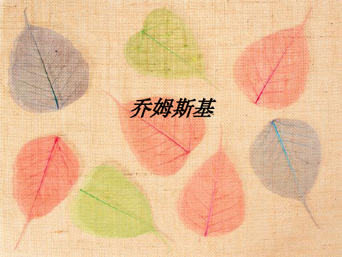 乔姆斯基