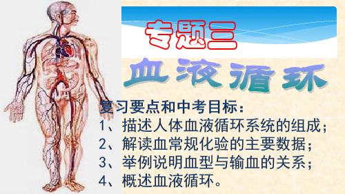 《血液循环》复习课件