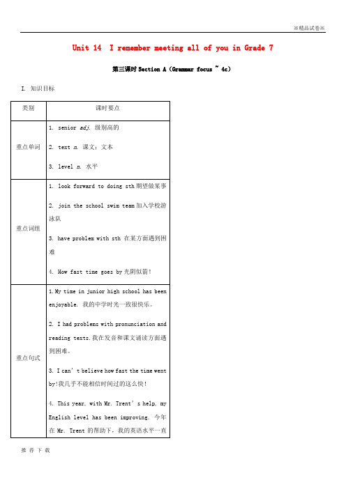 精品2019九年级英语全册 Unit 14(第3课时)Section A(Grammar focus-4c)教案