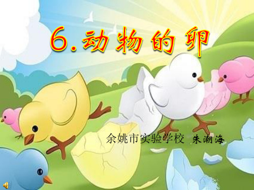 《动物的卵》PPT课件(4篇)