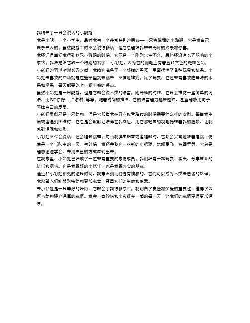 小学生的宠物之友：我喂养了一只会说话的小鹦鹉