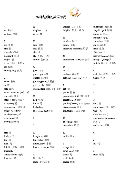 各种动物的英语单词