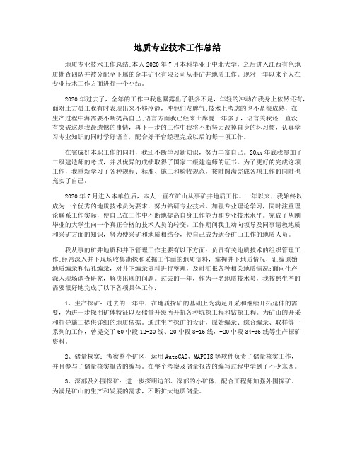 地质专业技术工作总结