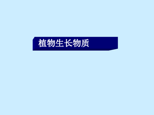 生长素