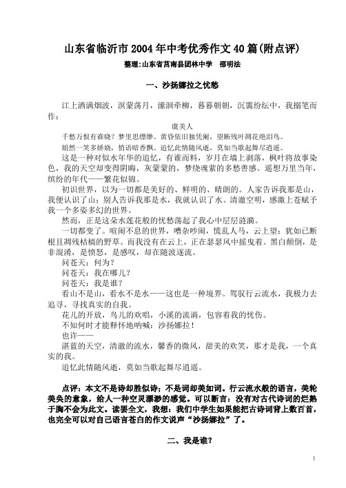 山东省临沂市2004年中考优秀作文40篇(附点评)