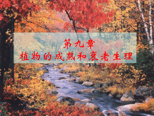 植物生理学成熟和衰老生理