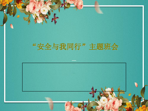 “安全与我同行”主题班会30页PPT