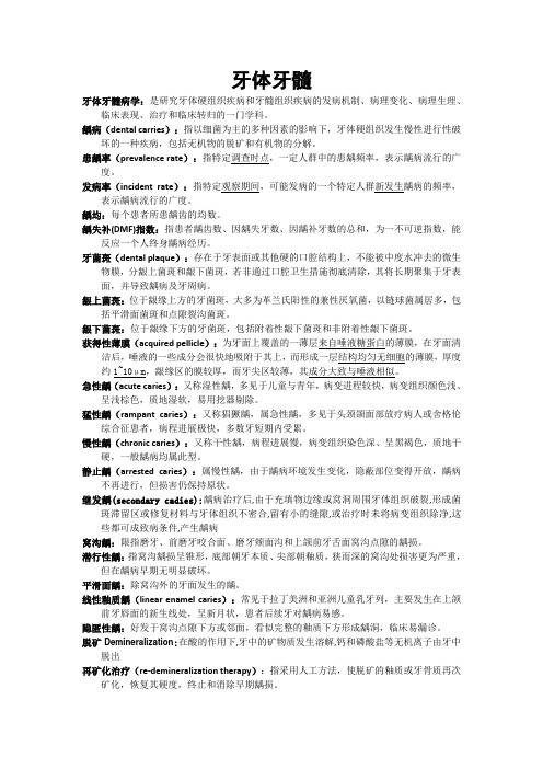 牙体 牙髓