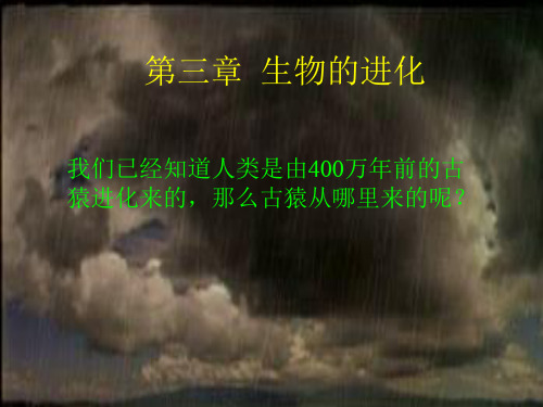 地球上生命的起源PPT优秀课件 人教版
