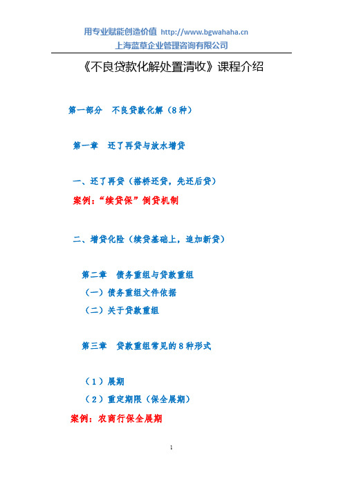 不良化解处置清收大纲
