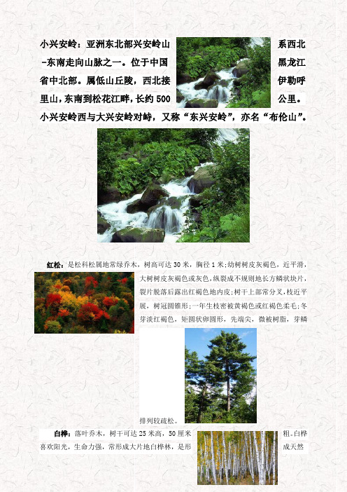最新部编版三年级语文上册20美丽的小兴安岭备课资料动植物介绍