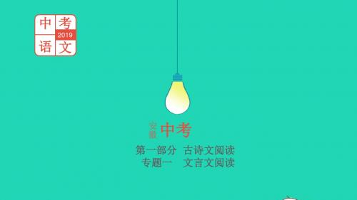 中考语文总复习 第一部分  古诗文阅读 专题一 文言文