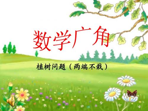 数学广角例2.ppt