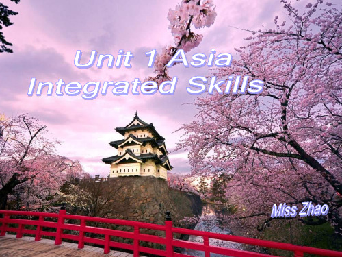 新译林版英语九年级上册Unit1IntegratedSkills