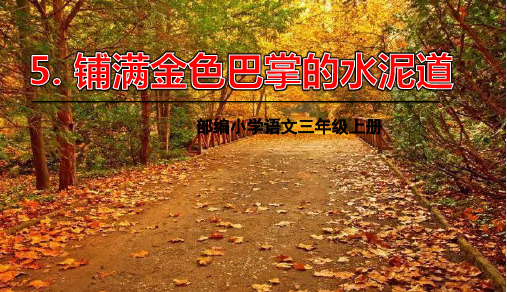 统编版小学语文三年级上册第二单元第5课铺满金色巴掌的水泥路课件