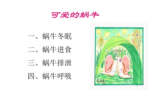 教科版科学三年级上册：2.3 蜗牛 课件