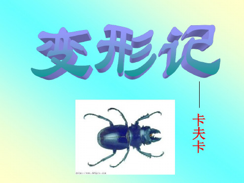 高三语文变形记5