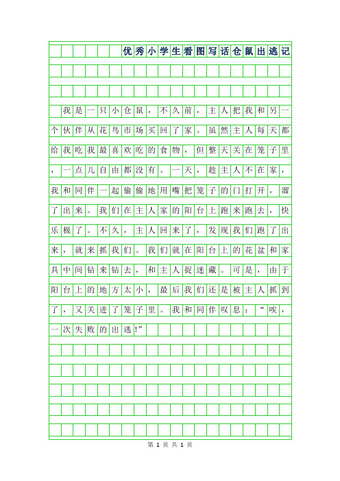 2019年优秀小学生看图写话作文范文-仓鼠出逃记