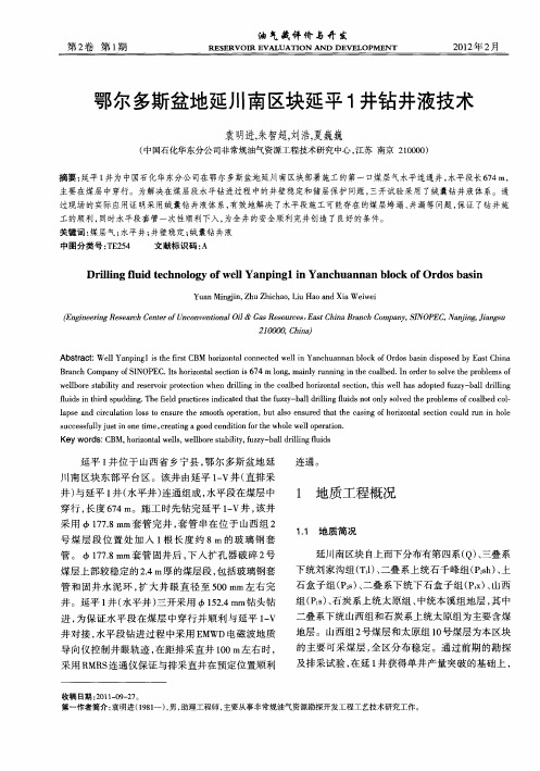 鄂尔多斯盆地延川南区块延平1井钻井液技术