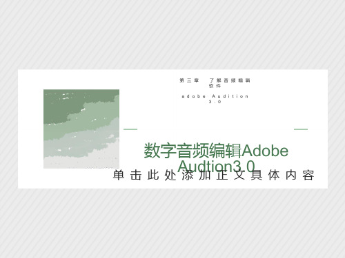 音频编辑软件Adobe-Audition3.0