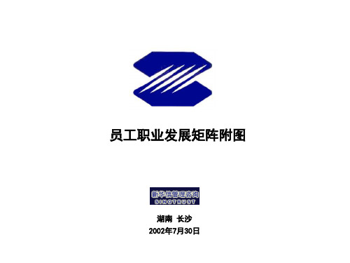 302-职业发展矩阵附表-0802