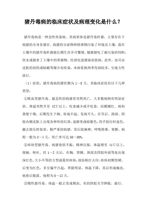 猪丹毒病临床症状及病理变化是什么？