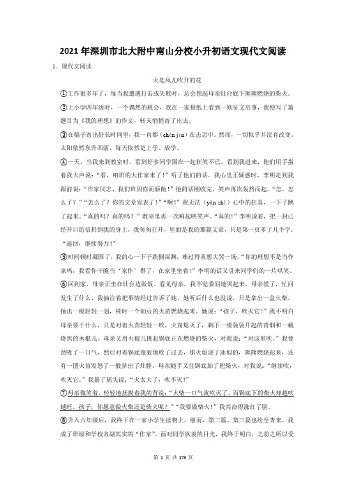 2021年深圳市北大附中南山分校小升初语文现代文阅读总复习(附答案解析)