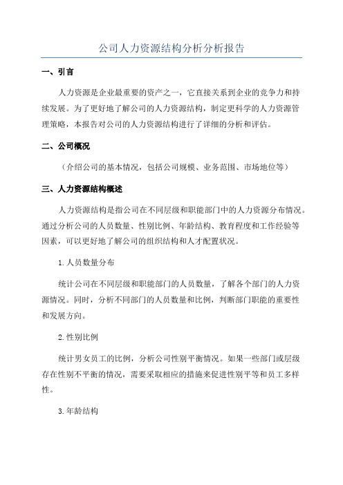 公司人力资源结构分析分析报告