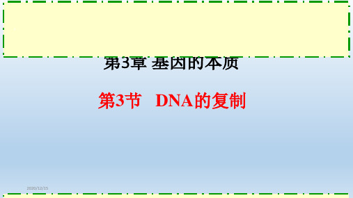 DNA的复制高中生物必修二教学课件