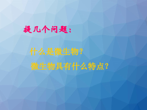病原生物与免疫学基础细菌概述 ppt课件