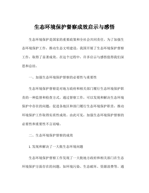 生态环境保护督察成效启示与感悟