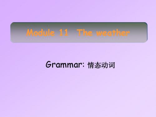 M11 Grammar 情态动词may might的用法