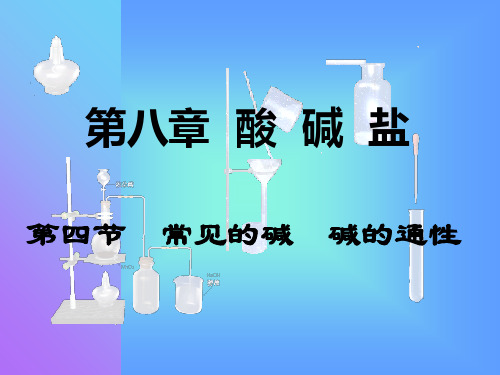 常见的碱碱的通性PPT课件 人教版
