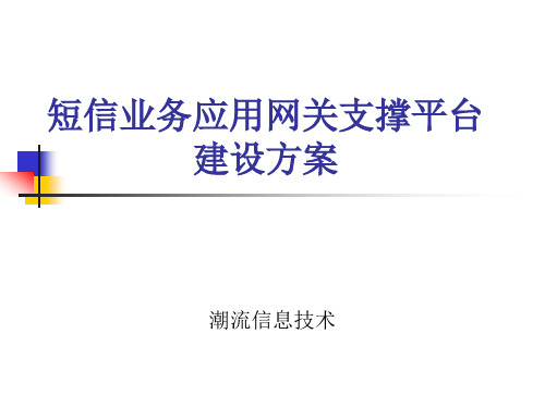 短信业务应用网关支撑平台建设方案
