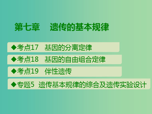 600分考点 700分考法(A版)2019版高考生物总复习 第七章 遗传的基本规律课件