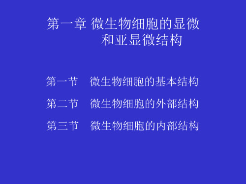 微生物细胞的显微和亚显微结构