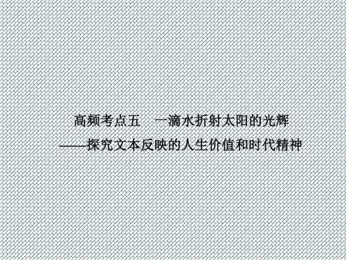 2014高考语文(苏教版)一轮复习课件现代文阅读第三章高频考点五