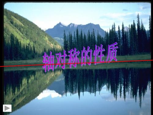 轴对称的基本性质