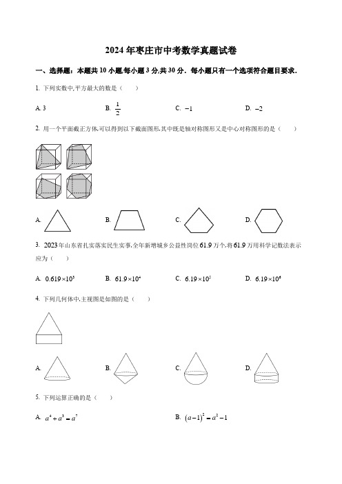 2024年山东省枣庄市中考数学真题试题及答案