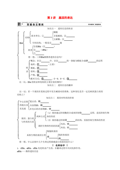 高考生物一轮复习 2.3 基因的表达教案(含解析)新人教版必修2