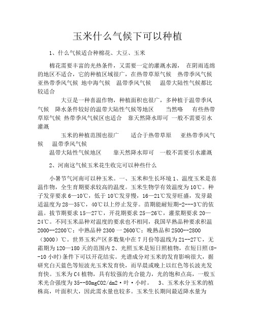 玉米什么气候下可以种植