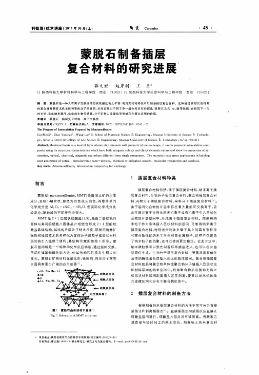 蒙脱石制备插层复合材料的研究进展